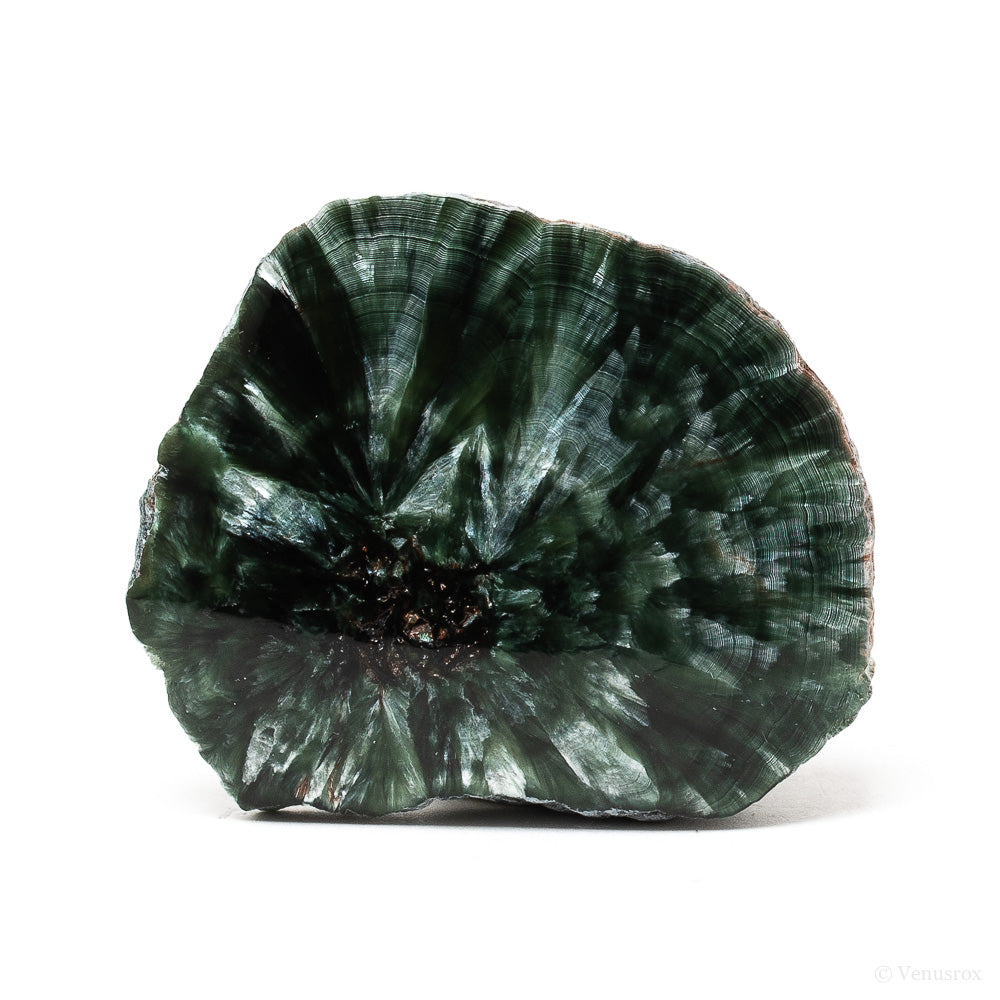Seraphinite Polished/Natural Slice from the Korshunovskoye Iron Scary Deposit, Irkutskaya Oblast, Siberia, Russia | Venusrox