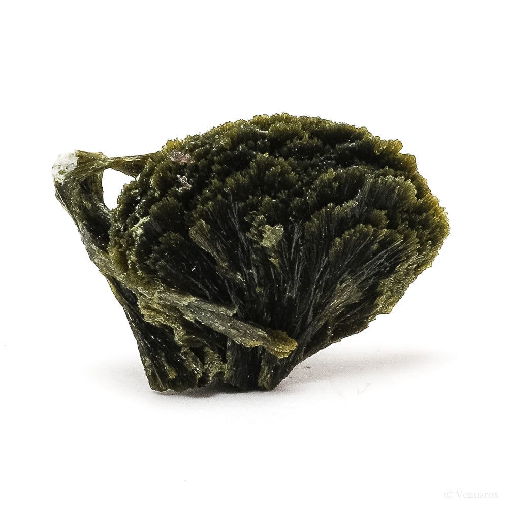 Epidote Natural Crystal from Kharan, Balochistan, Pakistan | Venusrox
