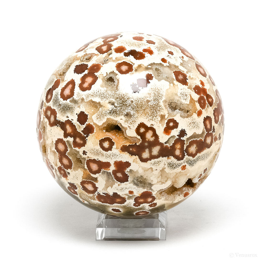 Ocean Jasper Part Polished/Part Natural Sphere from Madagascar | Venusrox