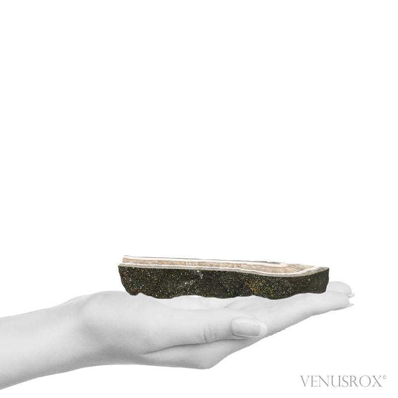Barite & Marcasite Part Polished/Part Natural Crystal from the Lubin Mine, Silezia, Poland | Venusrox