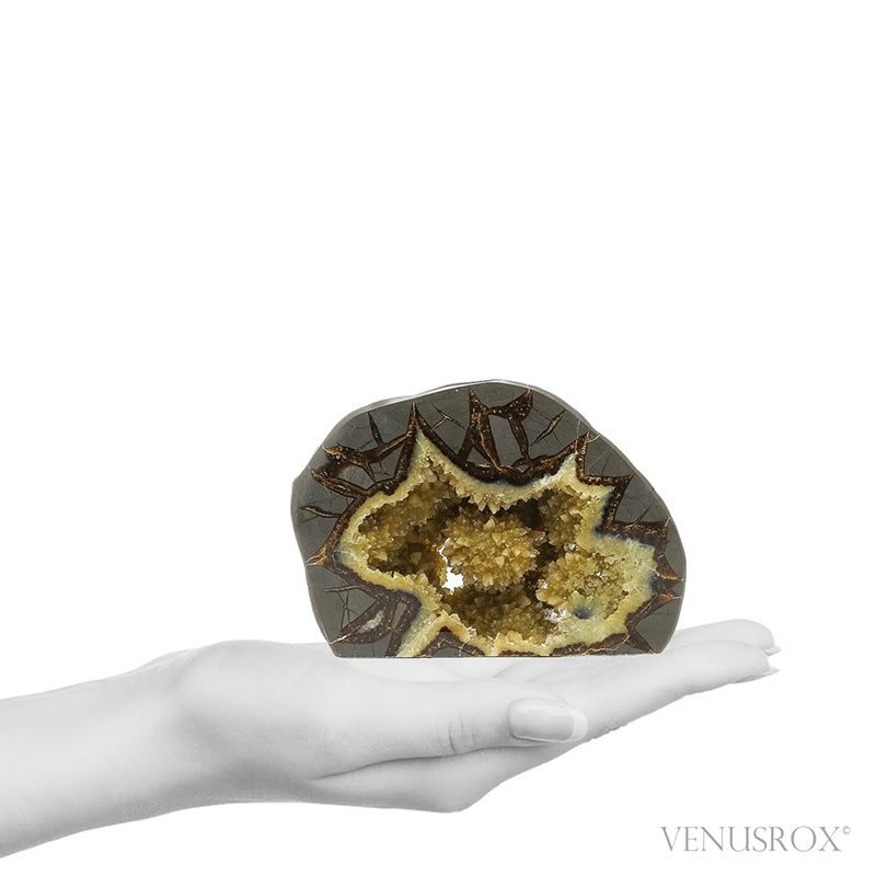 Septarian Geode Part Polished/Part Natural Slice from Utah, USA | Venusrox