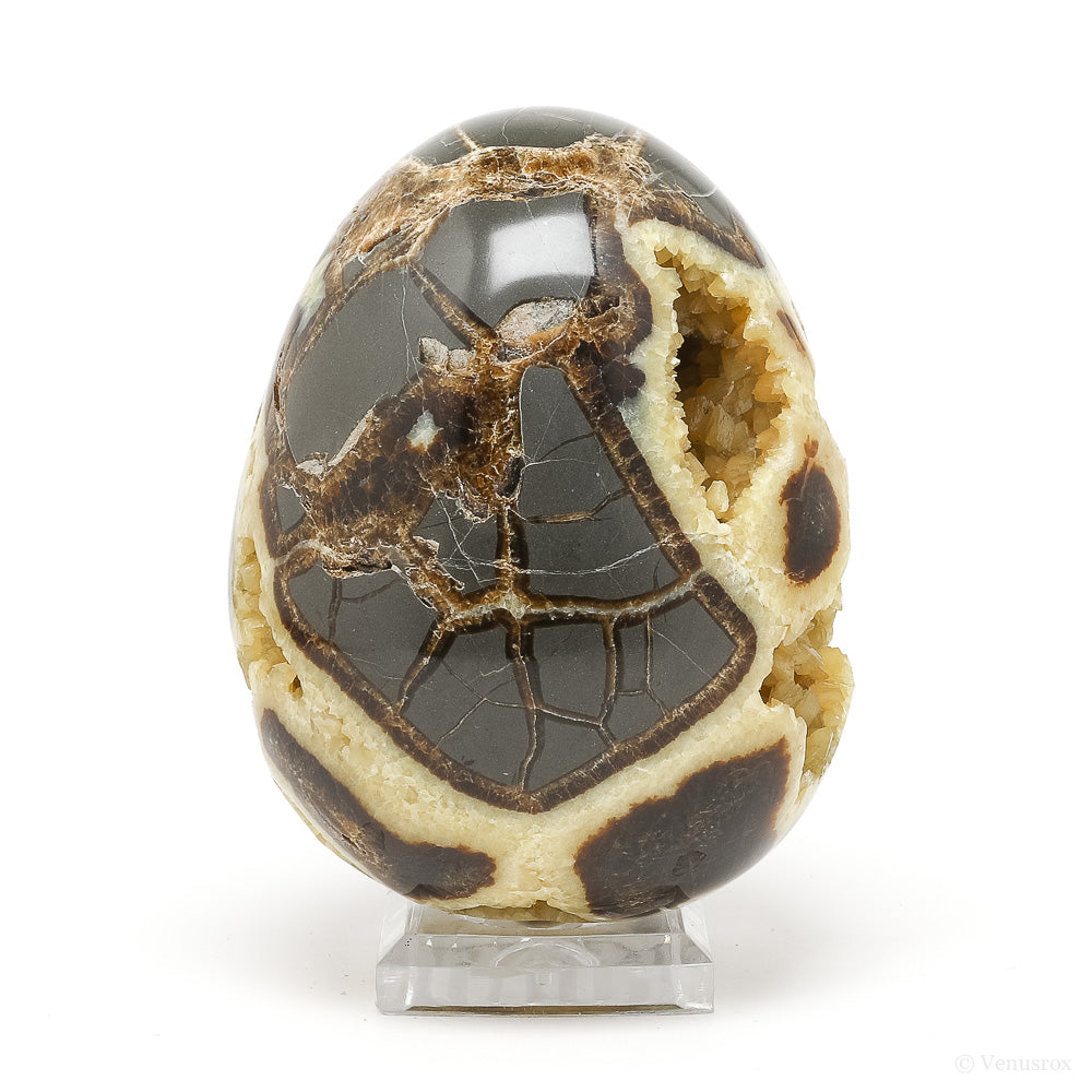 Septarian Geode Egg from Utah, USA | Venusrox