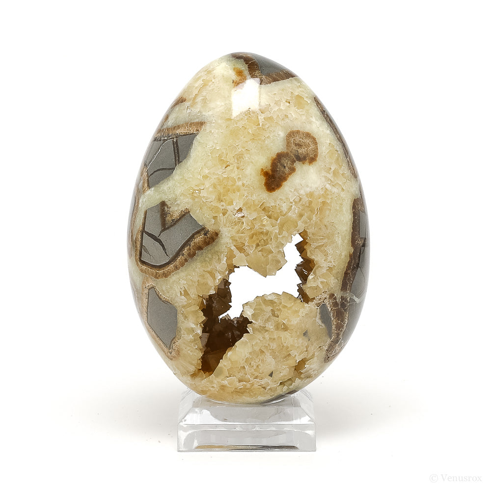 Septarian Geode Egg from Utah, USA | Venusrox
