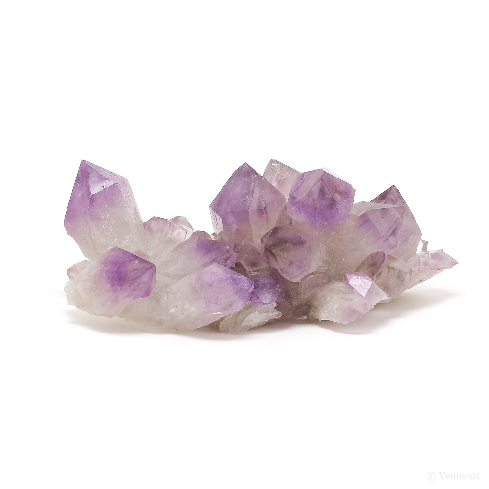 Amethyst Phantom Natural Cluster from the Anahi Mine, Santa Cruz Dept. Bolivia | Venusrox