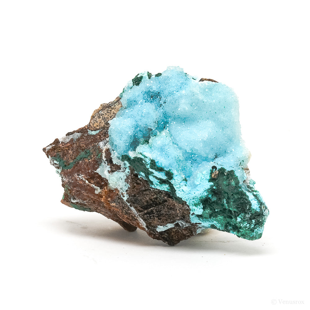 Chrysocolla with Malachite, Clear Quartz & Matrix Natural Crystal from the Tenke-Fungurume Area, Lualaba, Democratic Republic of the Congo | Venusrox