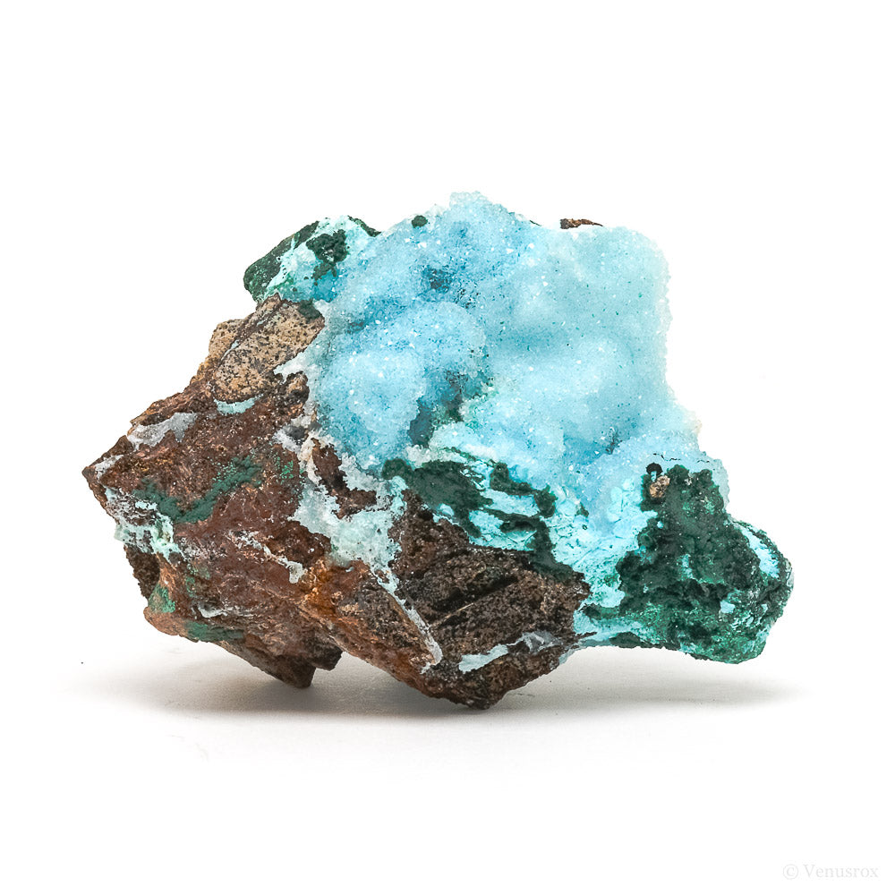 Chrysocolla with Malachite, Clear Quartz & Matrix Natural Crystal from the Tenke-Fungurume Area, Lualaba, Democratic Republic of the Congo | Venusrox