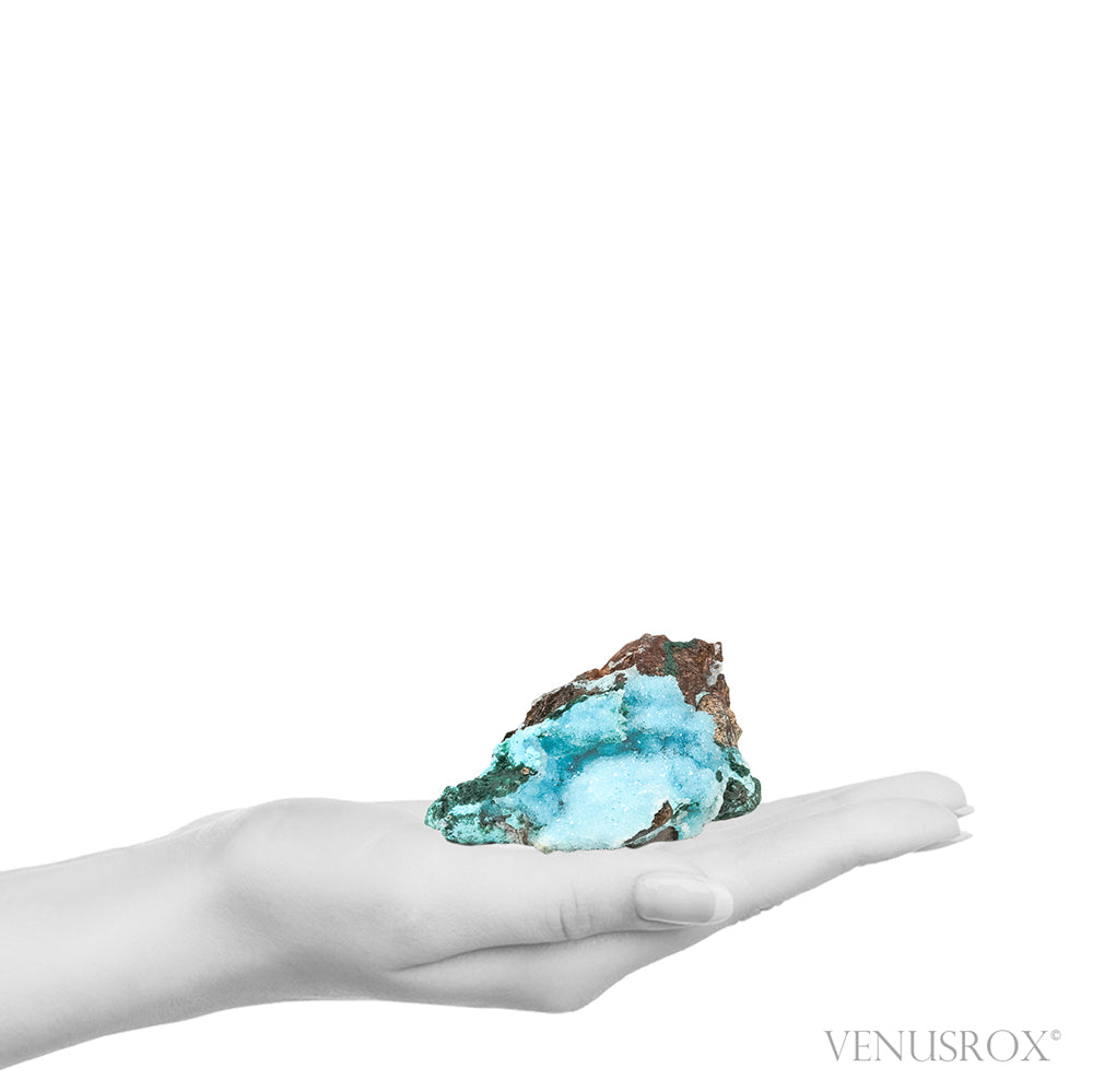Chrysocolla with Malachite, Clear Quartz & Matrix Natural Crystal from the Tenke-Fungurume Area, Lualaba, Democratic Republic of the Congo | Venusrox