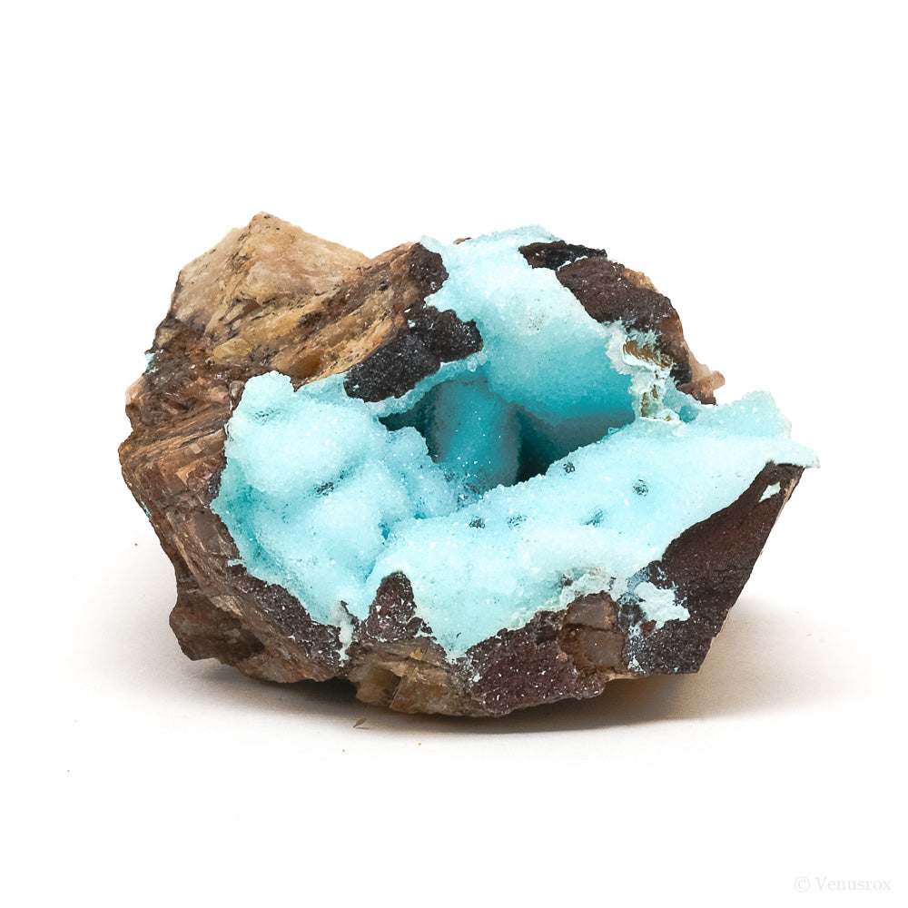 Chrysocolla with Clear Quartz & Matrix Natural Crystal from the Tenke-Fungurume Area, Lualaba, Democratic Republic of the Congo | Venusrox