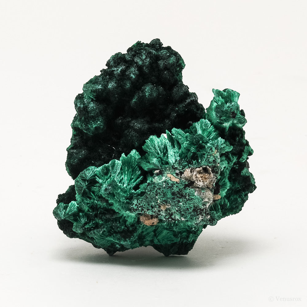 Fibrous Malachite Natural Crystal from the Luishia Mine, Katanga Province, Democratic Republic of Congo | Venusrox