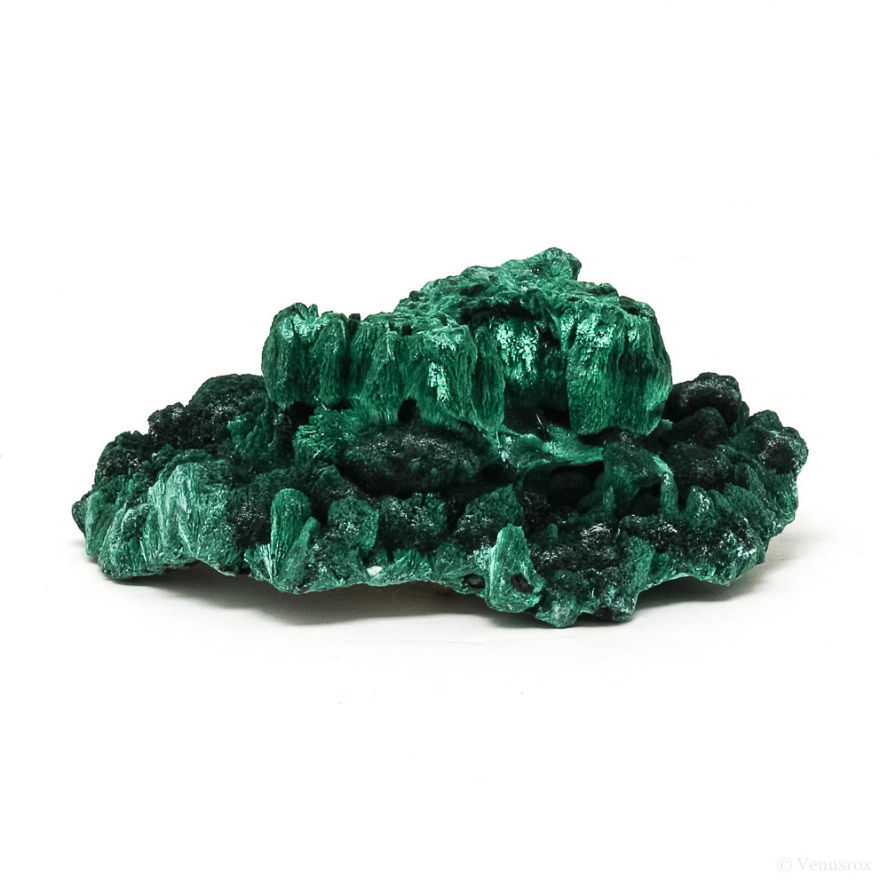 Fibrous Malachite Natural Crystal from the Luishia Mine, Katanga Province, Democratic Republic of Congo | Venusrox