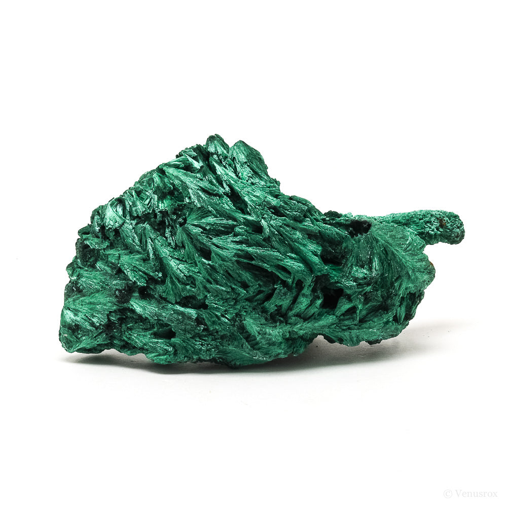 Fibrous Malachite Natural Crystal from the Luishia Mine, Katanga Province, Democratic Republic of Congo | Venusrox