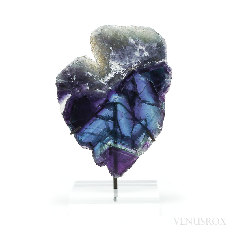 Fluorite Part Polished/Part Natural Slice from Mexico, mounted on a bespoke stand | Venusrox