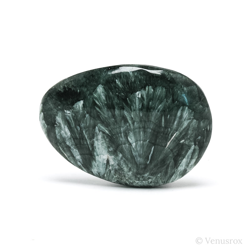 Seraphinite Polished Crystal from the Korshunovskoye Iron Scary Deposit, Irkutskaya Oblast, Siberia, Russia | Venusrox