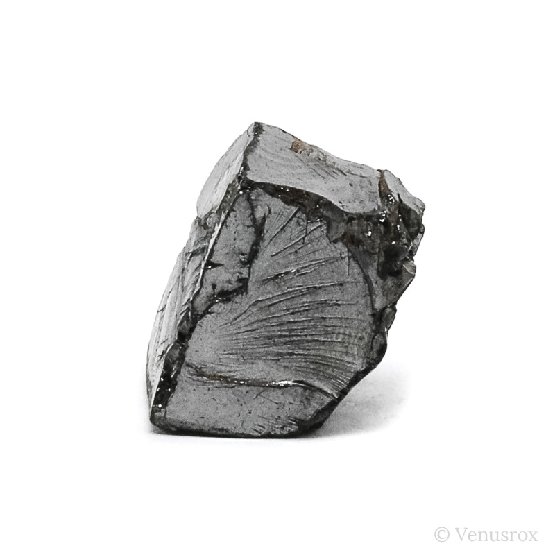 Shungite from Shunga, Karelia, Russia | Venusrox