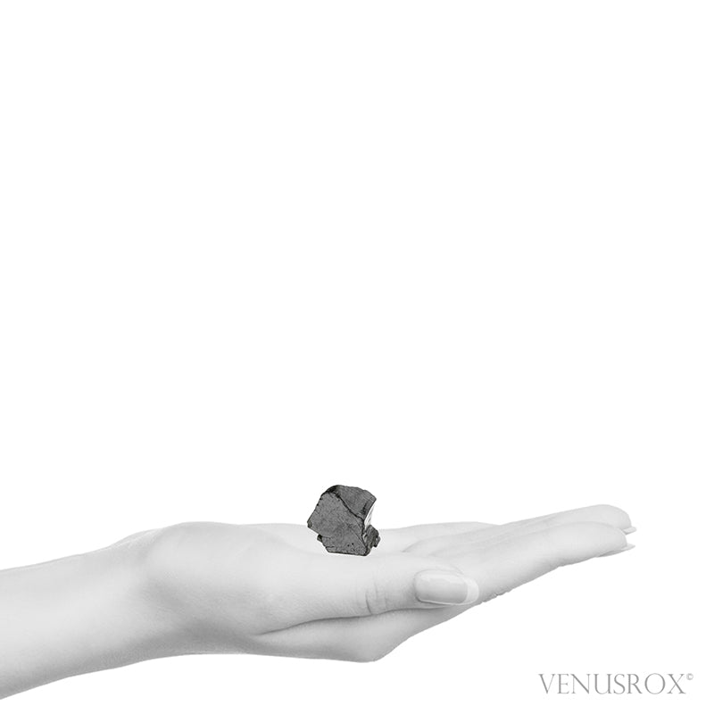 Elite Shungite from Shunga, Karelia, Russia | Venusrox