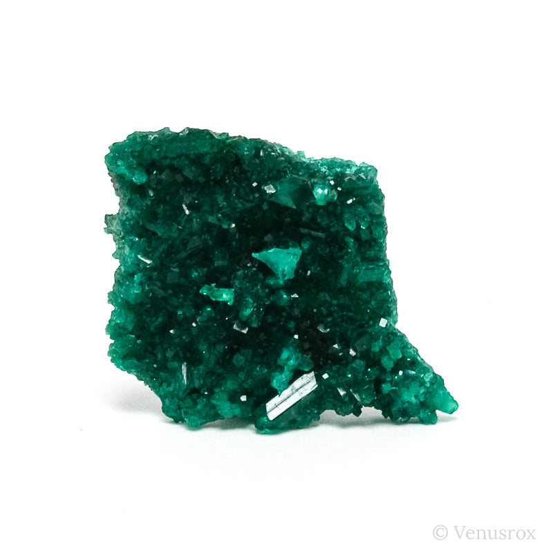 Dioptase Natural Cluster from Renéville, Kindanba District, Pool Department, Demacratic Republic of the Congo | Venusrox