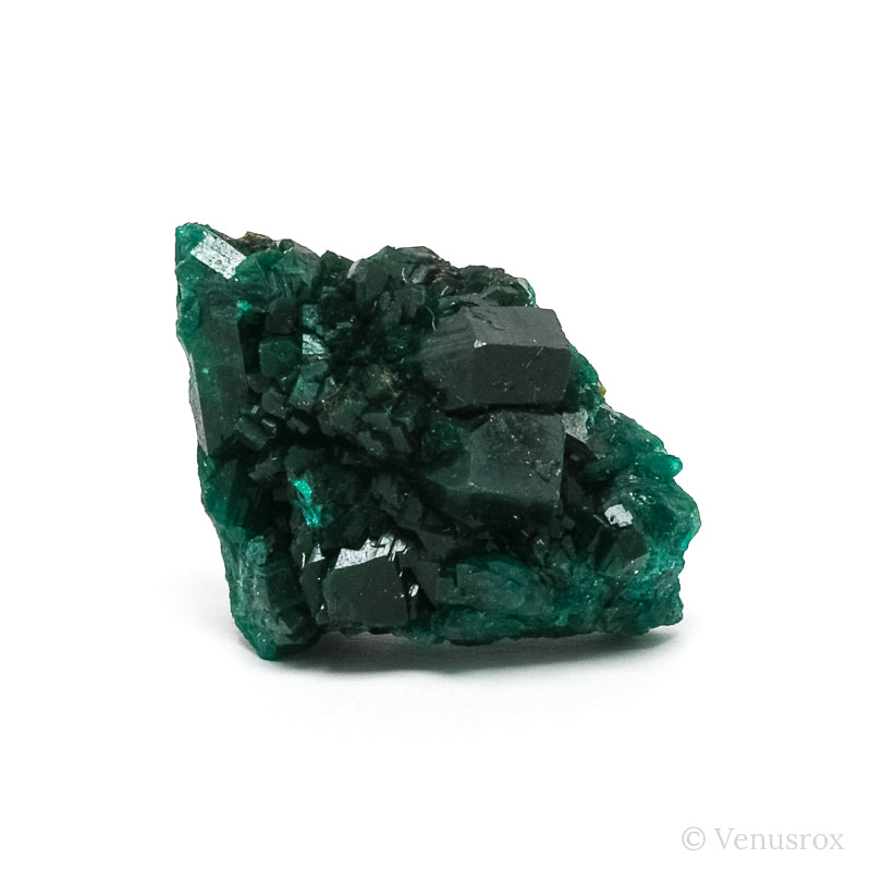 Dioptase Natural Cluster from Renéville, Kindanba District, Pool Department, Demacratic Republic of the Congo | Venusrox