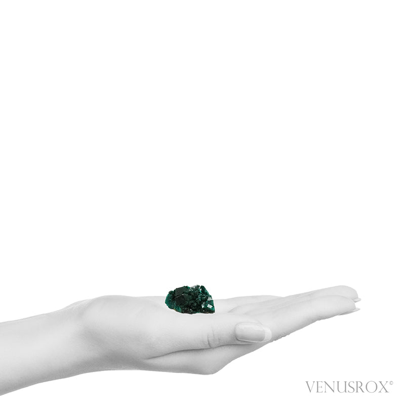 Dioptase Natural Cluster from Renéville, Kindanba District, Pool Department, Demacratic Republic of the Congo | Venusrox