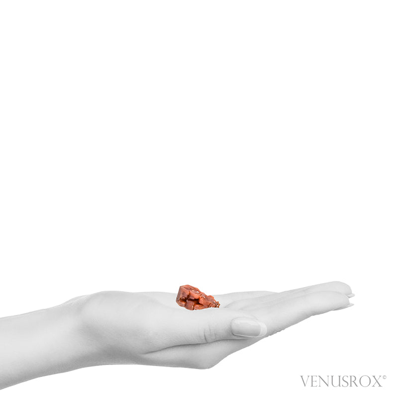 Vanadinite Natural Crystal from Mibladen, Midelt, Meknes-Tafilalet Region, Morocco | Venusrox