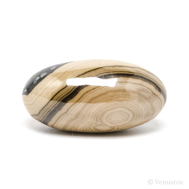 Schalenblende Polished Crystal from Olkusz, Poland | Venusrox