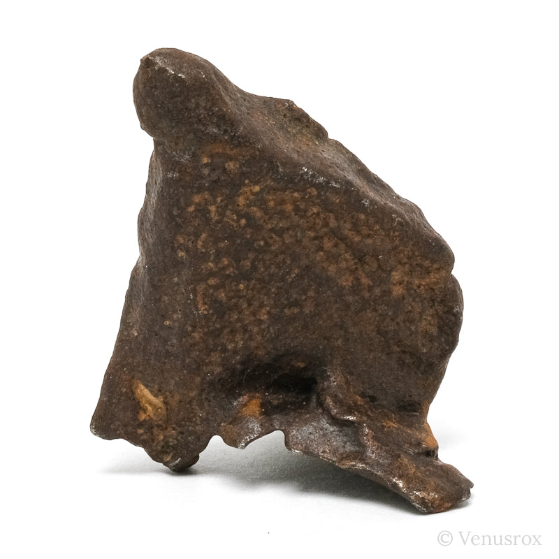 Gebel Kamil Meteorite Natural Fragment from Southern Egypt | Venusrox