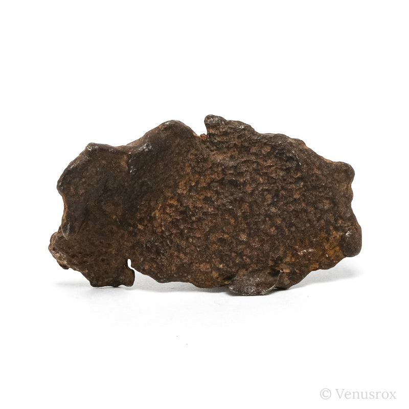 Gebel Kamil Meteorite Natural Fragment from Southern Egypt | Venusrox