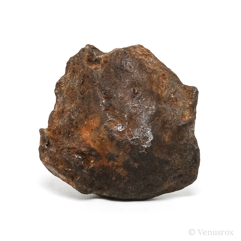 Gebel Kamil Meteorite Natural Fragment from Southern Egypt | Venusrox
