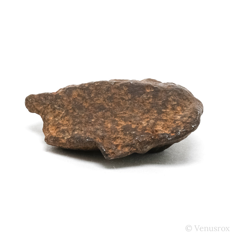 Gebel Kamil Meteorite Natural Fragment from Southern Egypt | Venusrox