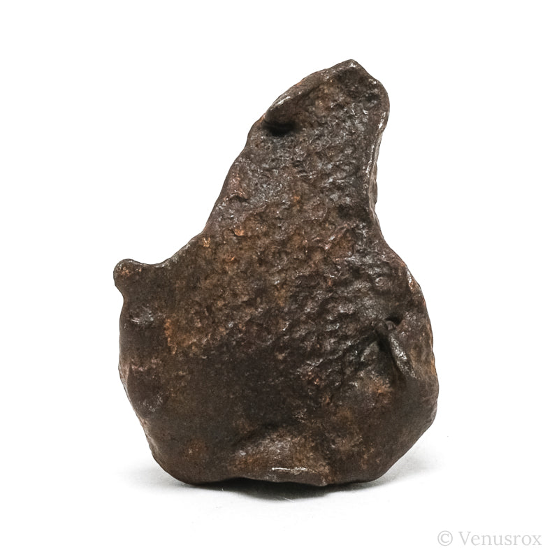 Gebel Kamil Meteorite Natural Fragment from Southern Egypt | Venusrox