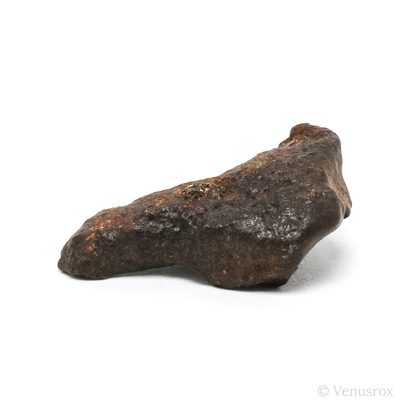 Gebel Kamil Meteorite Natural Fragment from Southern Egypt | Venusrox