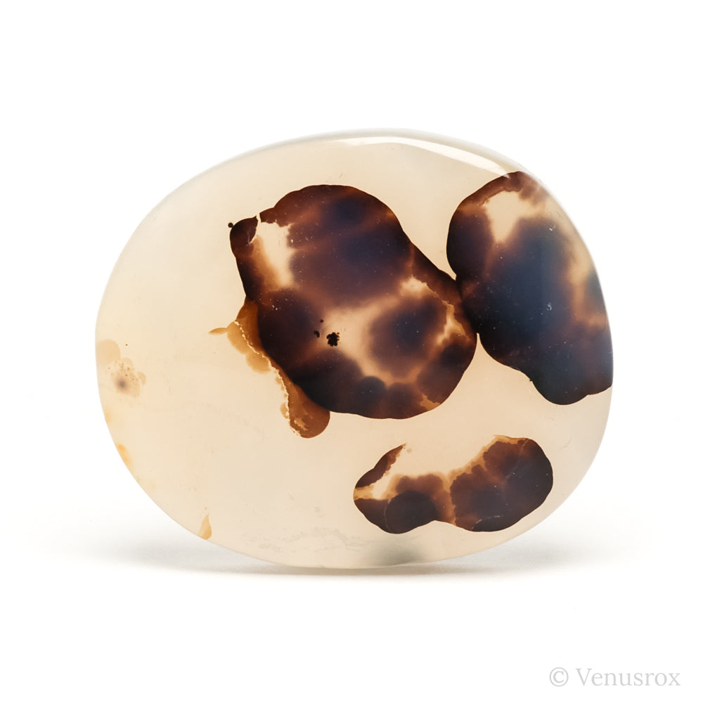 Dendritic Agate Polished Crystal from Madagascar | Venusrox