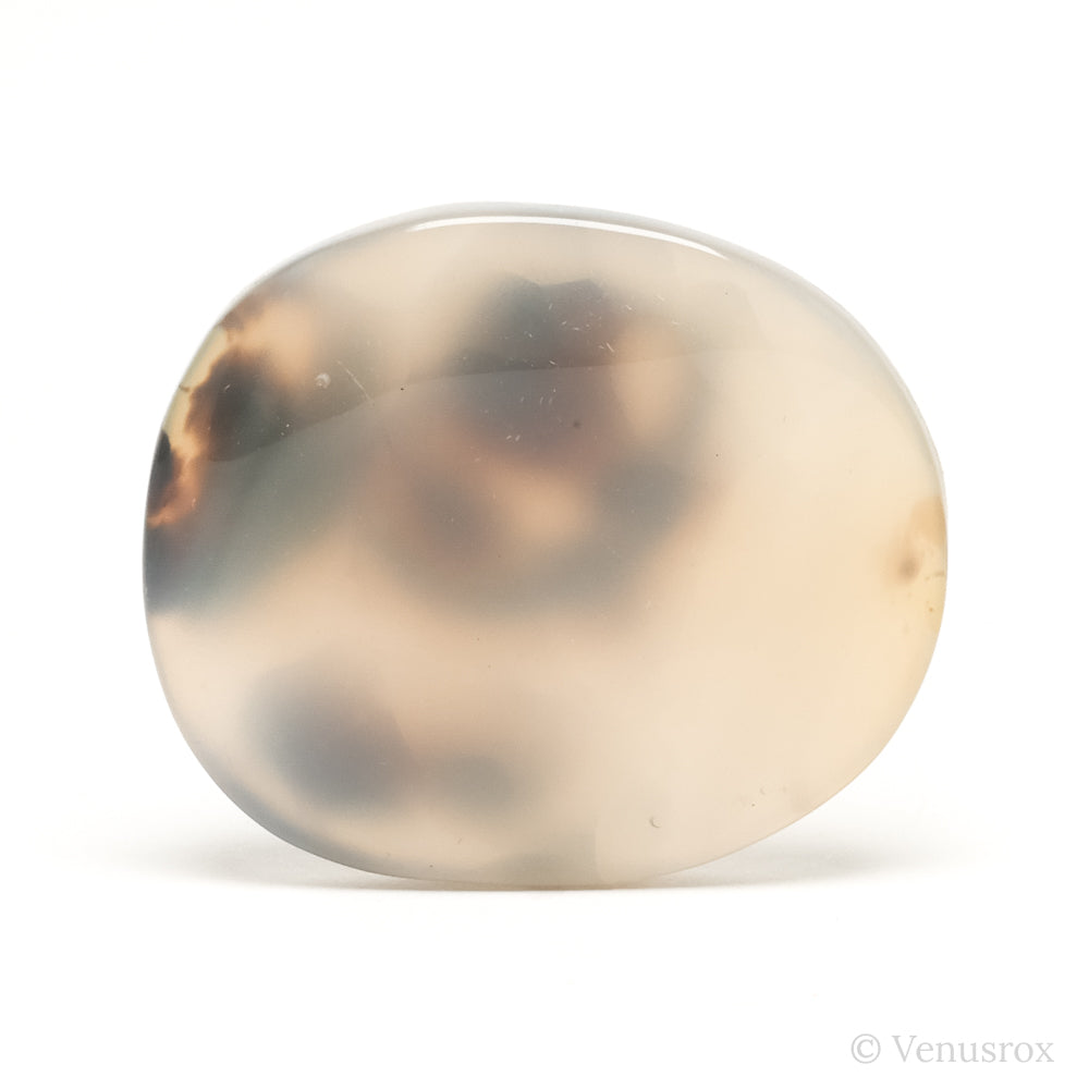 Dendritic Agate Polished Crystal from Madagascar | Venusrox