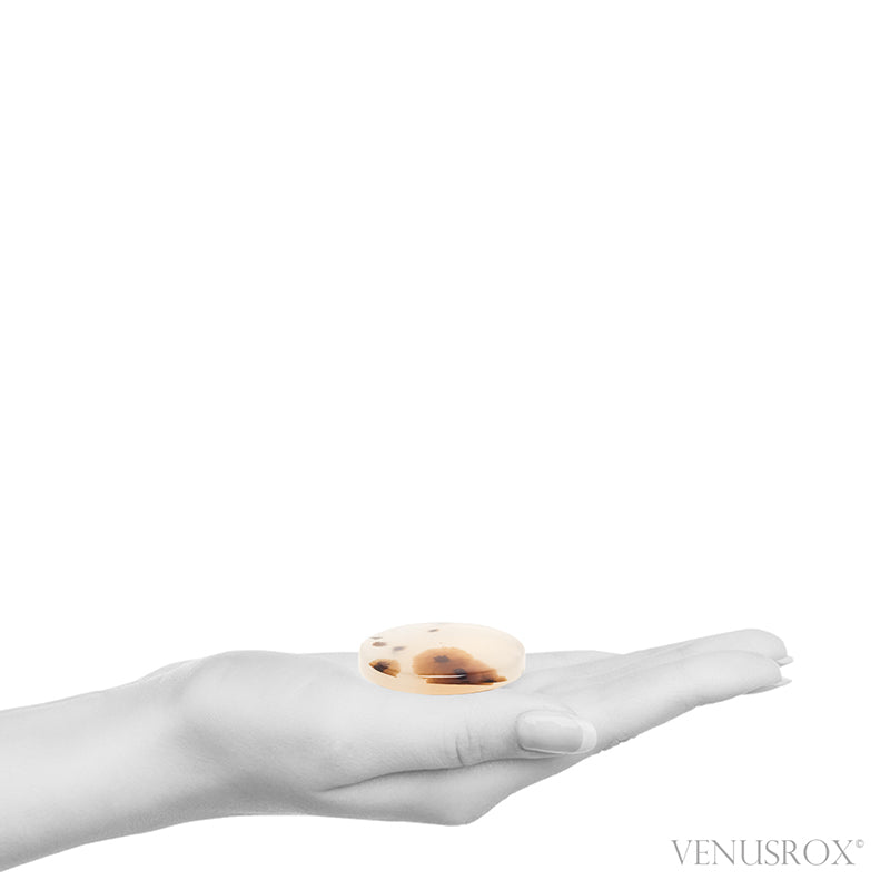 Dendritic Agate Polished Crystal from Madagascar | Venusrox