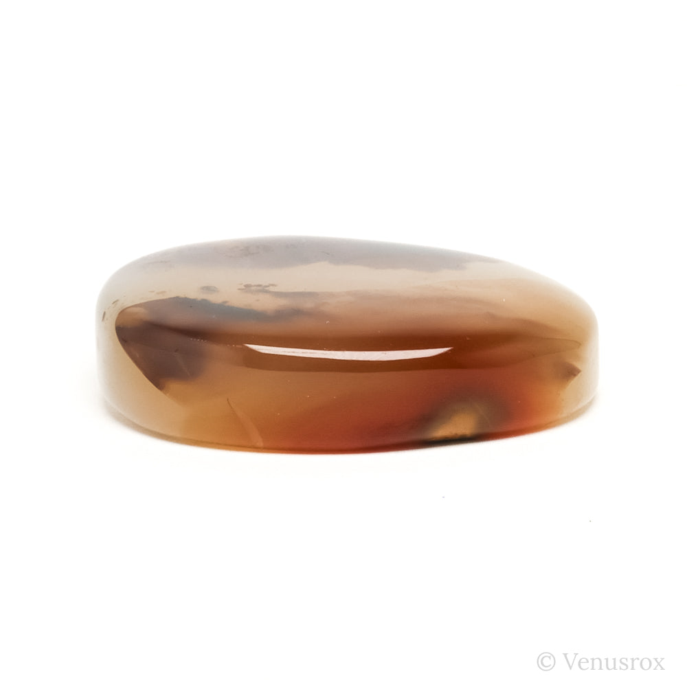 Dendritic Agate Polished Crystal from Madagascar | Venusrox