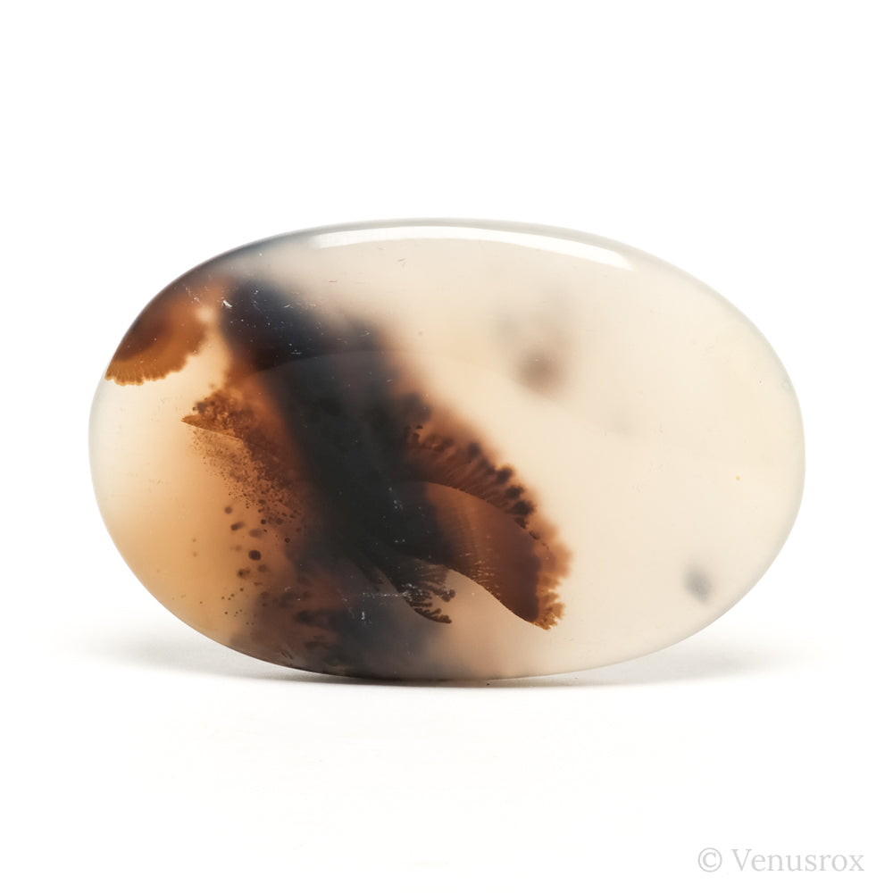 Dendritic Agate Polished Crystal from Madagascar | Venusrox