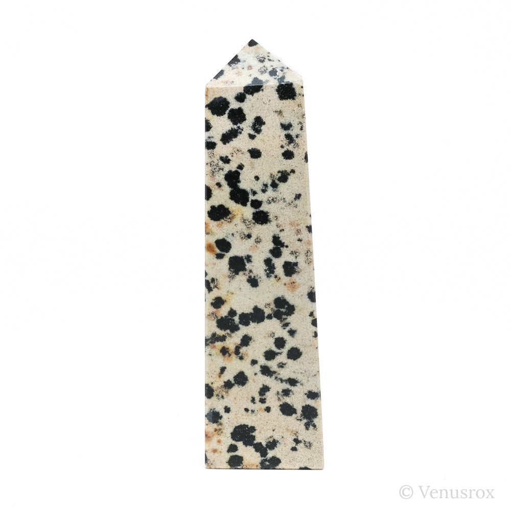 Dalmatian Jasper Polished Point from China | Venusrox