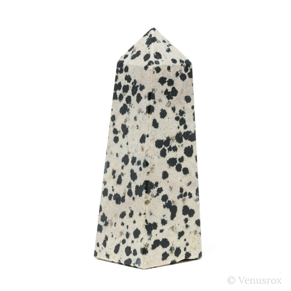 Dalmatian Jasper Polished Point from China | Venusrox