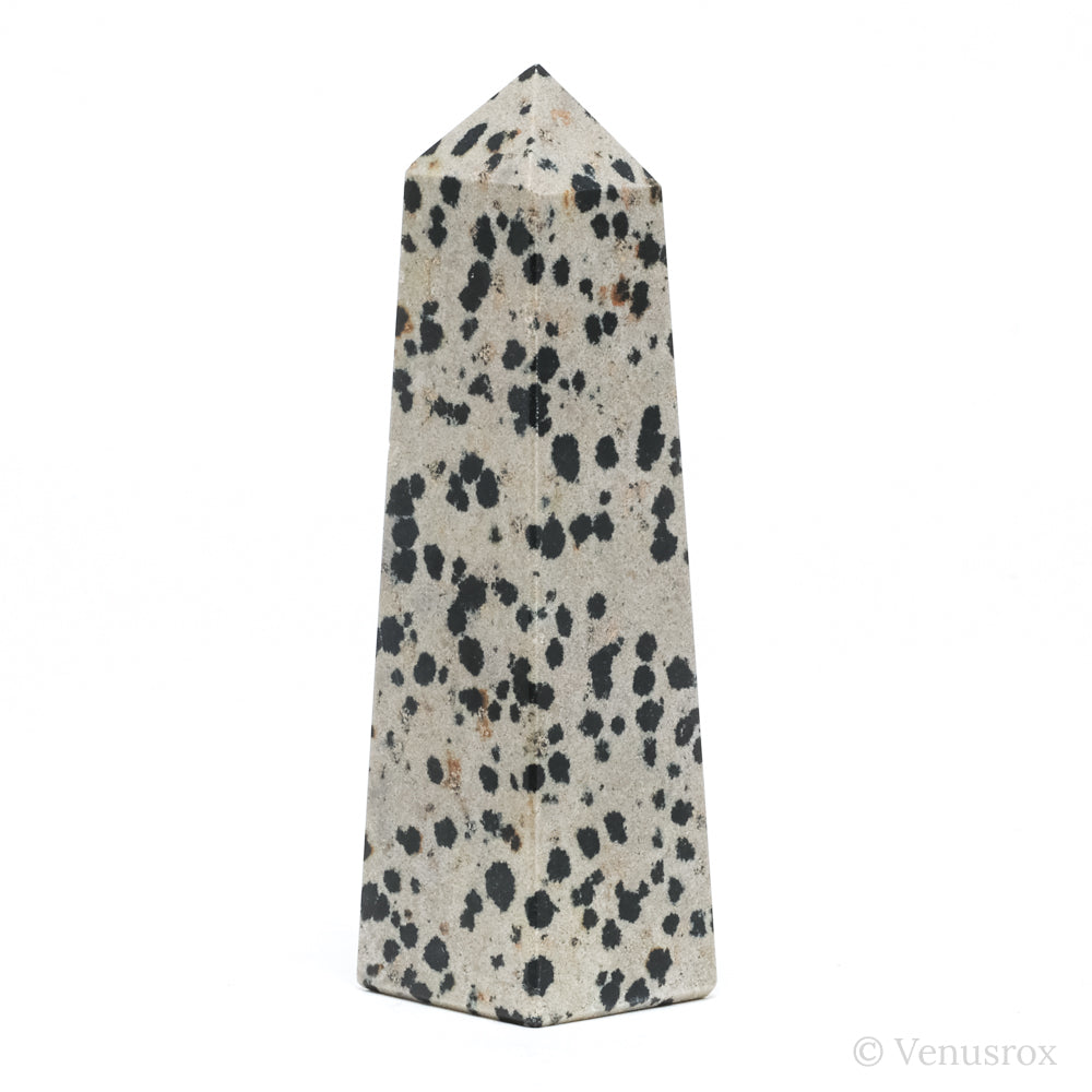 Dalmatian Jasper Polished Point from China | Venusrox