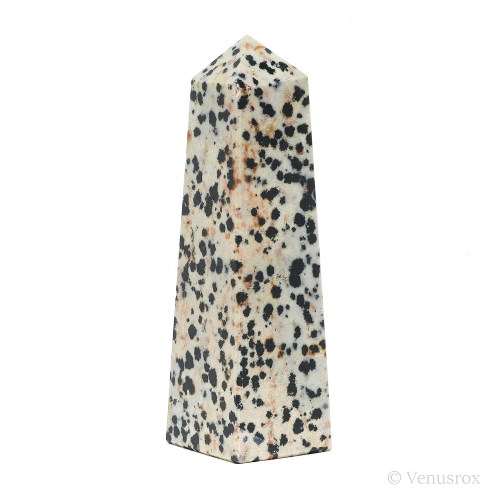Dalmatian Jasper Polished Point from China | Venusrox