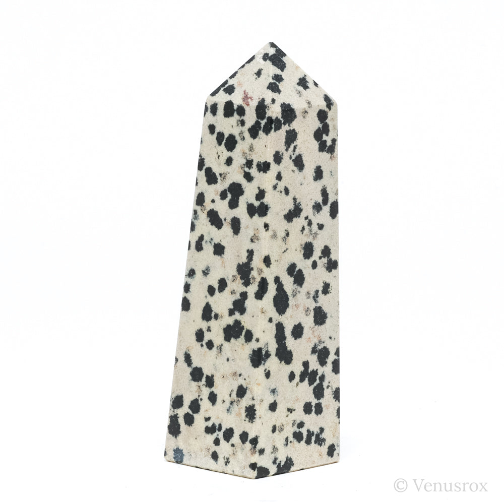 Dalmatian Jasper Polished Point from China | Venusrox