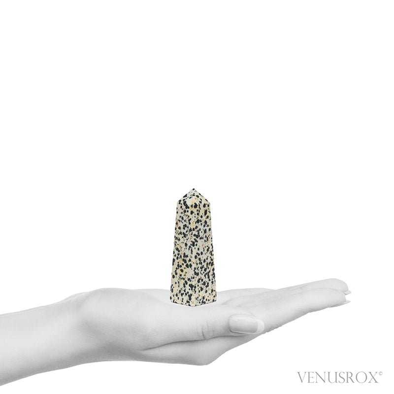 Dalmatian Jasper Polished Point from China | Venusrox