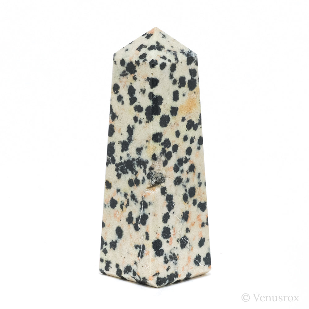 Dalmatian Jasper Polished Point from China | Venusrox