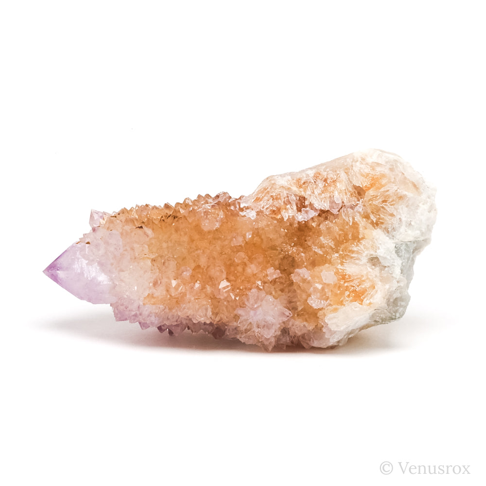 Natural Amethyst Spirit Quartz Point from Mpumalanga, South Africa | Venusrox