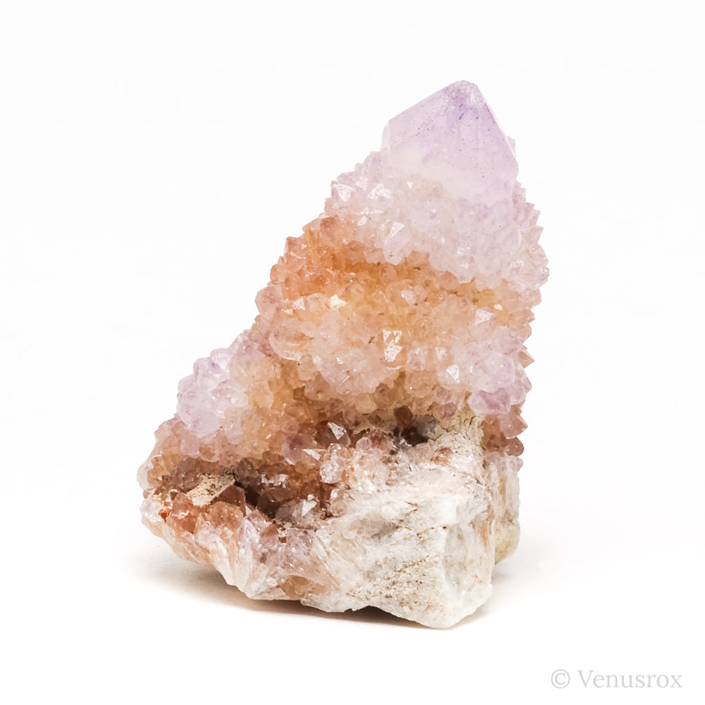 Natural Amethyst Spirit Quartz Point from Mpumalanga, South Africa | Venusrox