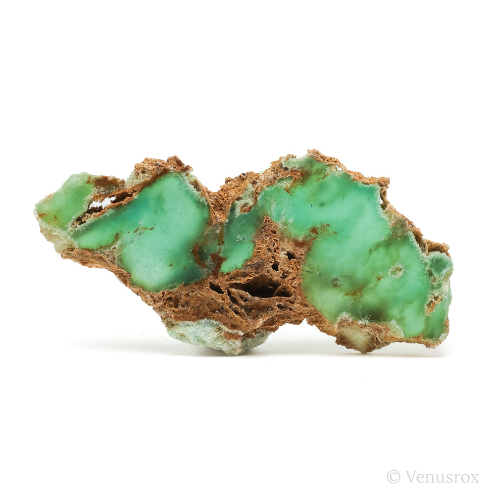 Chrysoprase Polished/Natural Crystal from the Szklary Chrysoprase Mine, Poland | Venusrox
