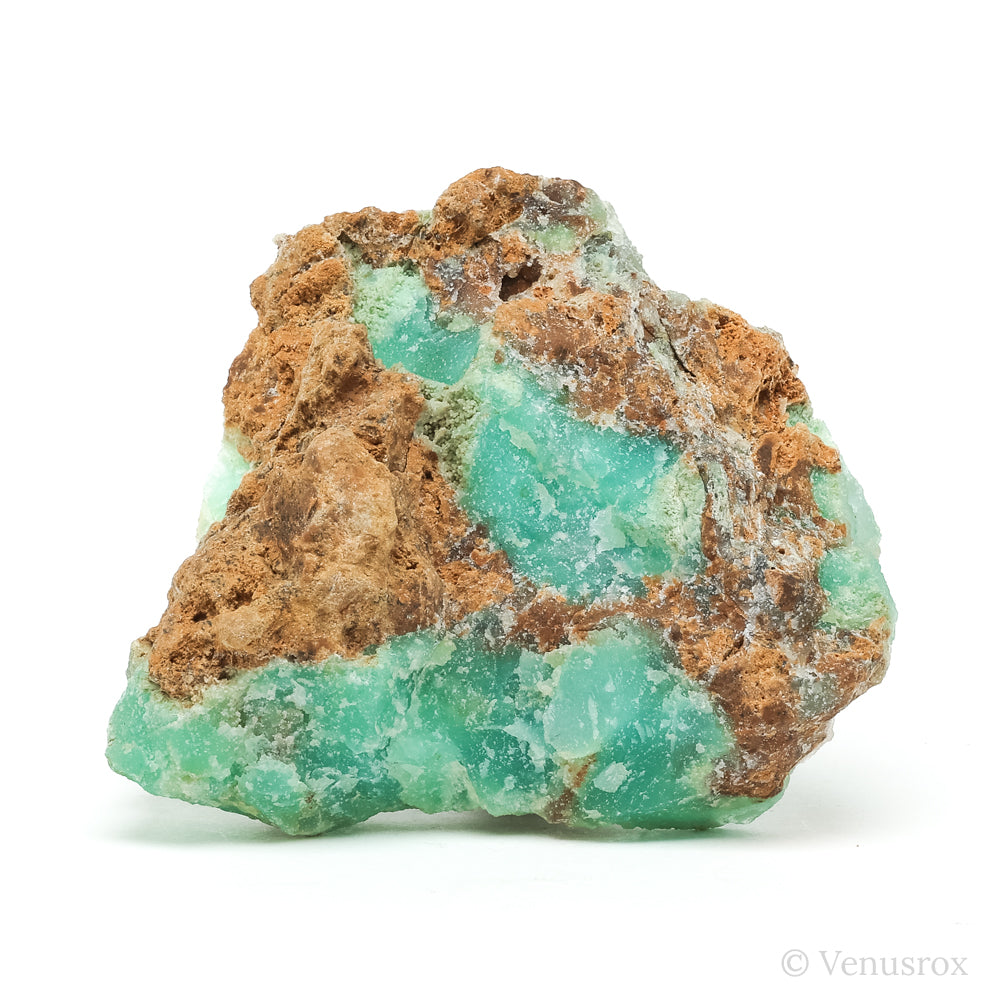 Chrysoprase Polished/Natural Crystal from the Szklary Chrysoprase Mine, Poland | Venusrox
