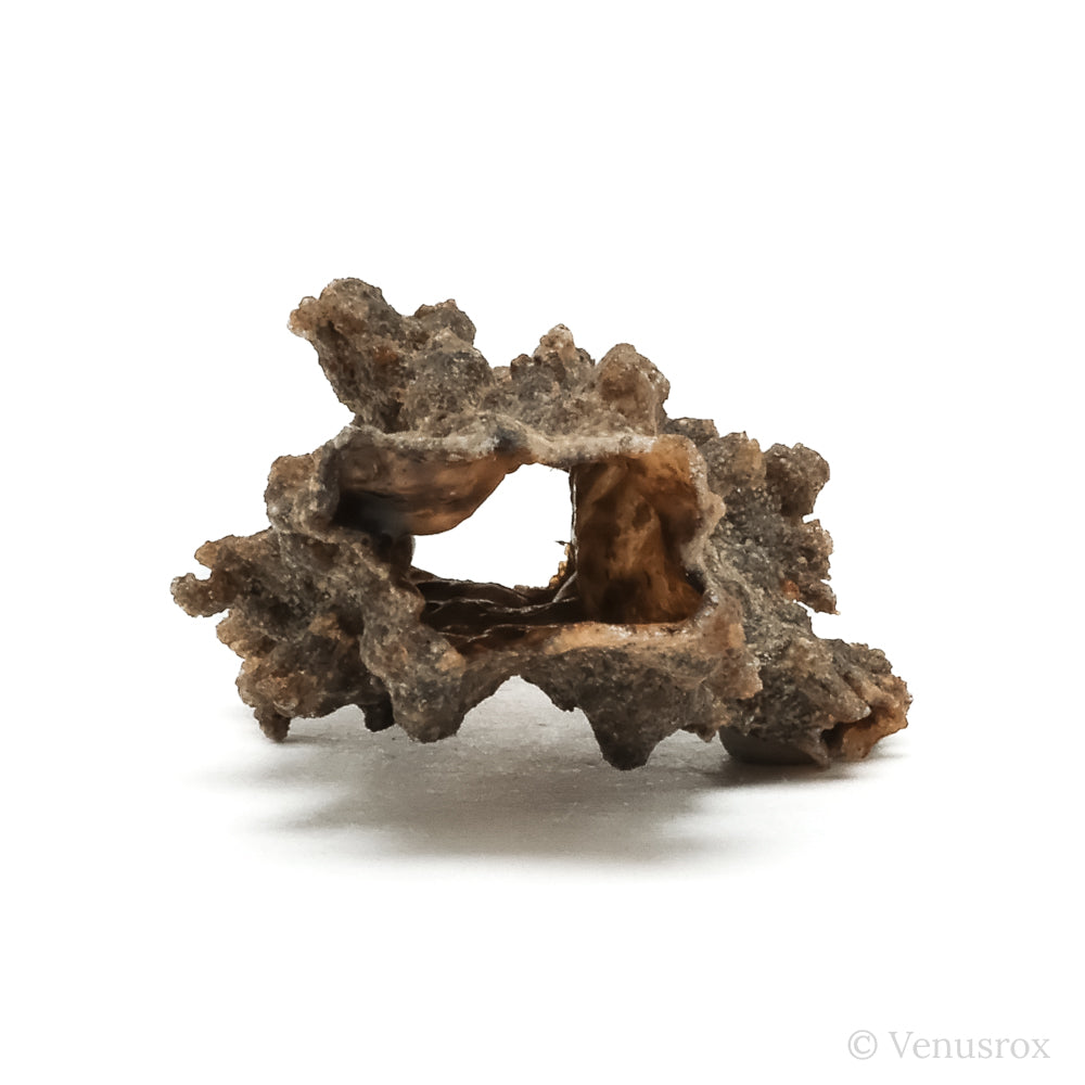 Fulgurite from North Africa | Venusrox