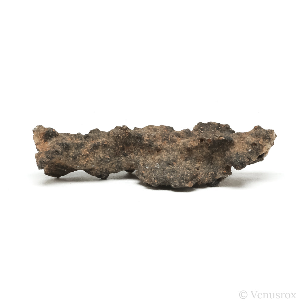 Fulgurite from North Africa | Venusrox