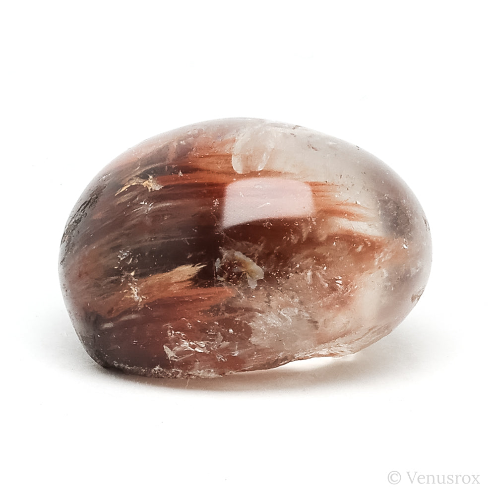 Amphibole Quartz Polished/Natural Crystal from Brazil | Venusrox