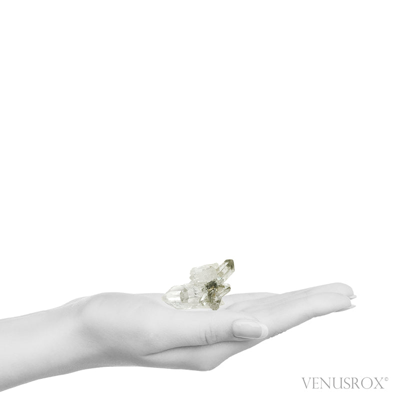 Himalayan Chlorite Faden Quartz Natural Cluster from the Meru Peak Foot Hills, Garhwal, Uttarakhand, Indian Himalayas | Venusrox